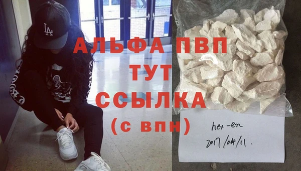 стаф Киренск