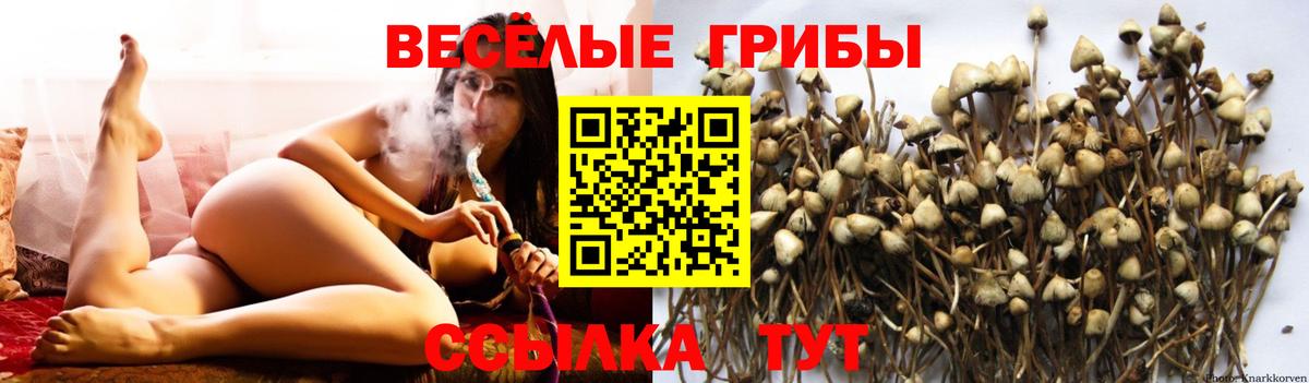 Кохма  Галлюциногенные грибы Magic Shrooms  Вход с VPN 